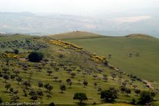 Sizilien (39 von 565).jpg